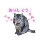 マーレฅ(^^ฅ)（個別スタンプ：14）