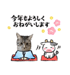 マーレฅ(^^ฅ)（個別スタンプ：21）