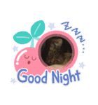 マーレฅ(^^ฅ)（個別スタンプ：22）