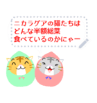 猫だるま ★ ねこだるま ★ ネコだるま（個別スタンプ：12）