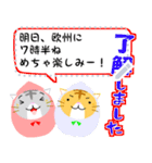 猫だるま ★ ねこだるま ★ ネコだるま（個別スタンプ：17）