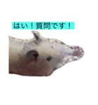 みやびとポン太（個別スタンプ：2）