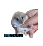 みやびとポン太（個別スタンプ：3）