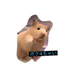 みやびとポン太（個別スタンプ：5）
