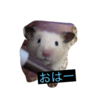 みやびとポン太（個別スタンプ：6）
