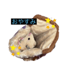 みやびとポン太（個別スタンプ：7）