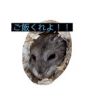 みやびとポン太（個別スタンプ：9）