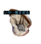 みやびとポン太（個別スタンプ：10）