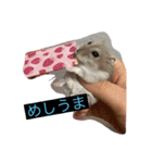 みやびとポン太（個別スタンプ：12）