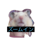 みやびとポン太（個別スタンプ：16）
