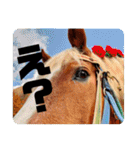 榛名湖遊覧馬車かんたろうくん（個別スタンプ：7）