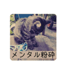 榛名湖遊覧馬車かんたろうくん（個別スタンプ：11）