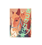 榛名湖遊覧馬車かんたろうくん（個別スタンプ：13）