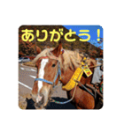 榛名湖遊覧馬車かんたろうくん（個別スタンプ：17）