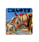 榛名湖遊覧馬車かんたろうくん（個別スタンプ：20）