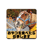 榛名湖遊覧馬車かんたろうくん（個別スタンプ：21）