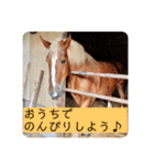 榛名湖遊覧馬車かんたろうくん（個別スタンプ：26）