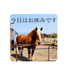 榛名湖遊覧馬車かんたろうくん（個別スタンプ：27）