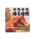 榛名湖遊覧馬車かんたろうくん（個別スタンプ：30）