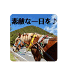 榛名湖遊覧馬車かんたろうくん（個別スタンプ：31）
