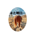 榛名湖遊覧馬車かんたろうくん（個別スタンプ：32）