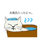 かわいい猫との生活（個別スタンプ：23）