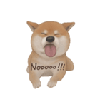 柴犬 Shiba 3（個別スタンプ：9）