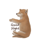 柴犬 Shiba 3（個別スタンプ：12）