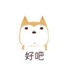 私は柴犬です。みかんといいます。（個別スタンプ：4）