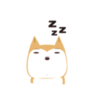 私は柴犬です。みかんといいます。（個別スタンプ：6）