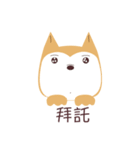 私は柴犬です。みかんといいます。（個別スタンプ：13）