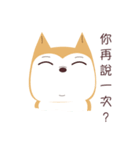 私は柴犬です。みかんといいます。（個別スタンプ：14）