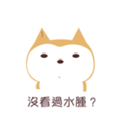 私は柴犬です。みかんといいます。（個別スタンプ：16）