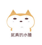 私は柴犬です。みかんといいます。（個別スタンプ：17）