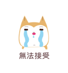 私は柴犬です。みかんといいます。（個別スタンプ：20）