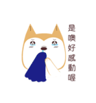 私は柴犬です。みかんといいます。（個別スタンプ：24）