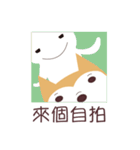 私は柴犬です。みかんといいます。（個別スタンプ：30）