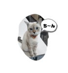 言葉あそび（個別スタンプ：2）