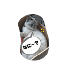 言葉あそび（個別スタンプ：7）