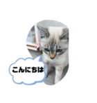 言葉あそび（個別スタンプ：9）