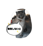 言葉あそび（個別スタンプ：10）