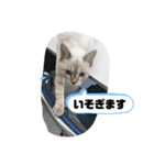 言葉あそび（個別スタンプ：15）