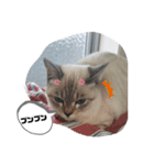 言葉あそび（個別スタンプ：16）