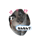 言葉あそび（個別スタンプ：18）
