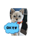 言葉あそび（個別スタンプ：19）