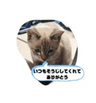 言葉あそび（個別スタンプ：20）