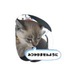 言葉あそび（個別スタンプ：21）
