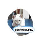 言葉あそび（個別スタンプ：23）