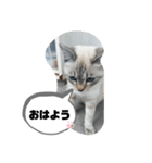 言葉あそび（個別スタンプ：24）