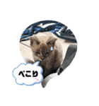 言葉あそび（個別スタンプ：26）